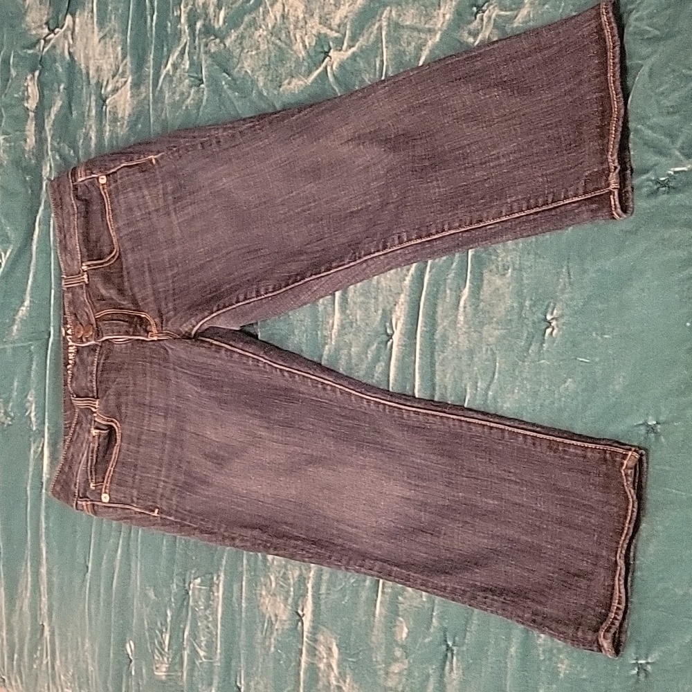 American Eagle Artist Crop Dark Wash Size 12